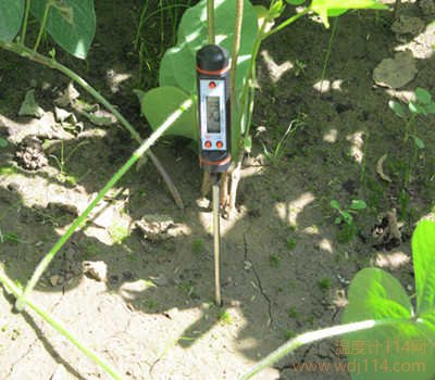 用于土壤溫度檢測(cè)的溫度計(jì)